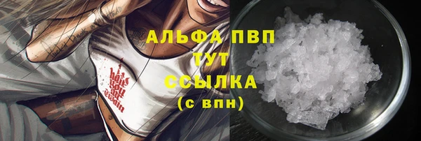 гашик Инсар