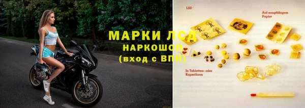 гашик Инсар