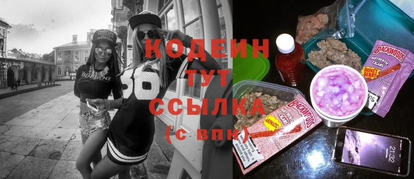 МДПВ Иннополис