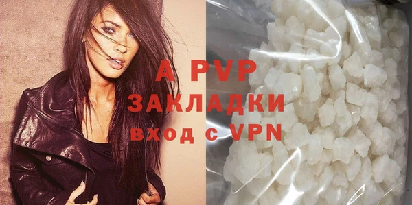 гашик Инсар