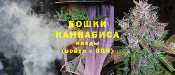 гашик Инсар