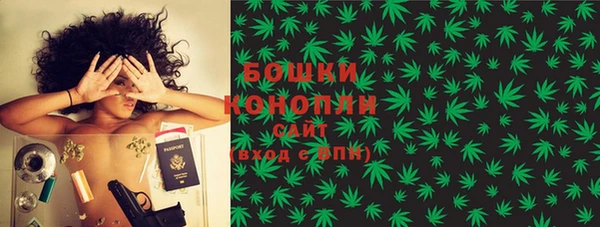 гашик Инсар