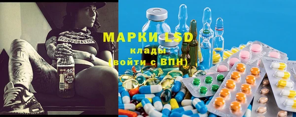 гашик Инсар