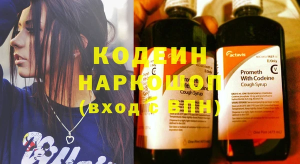 гашик Инсар