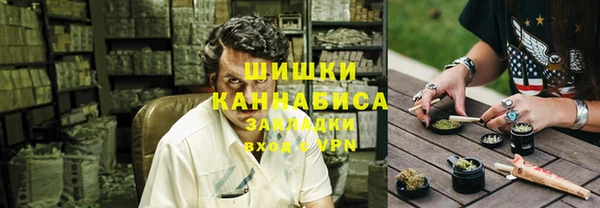гашик Инсар