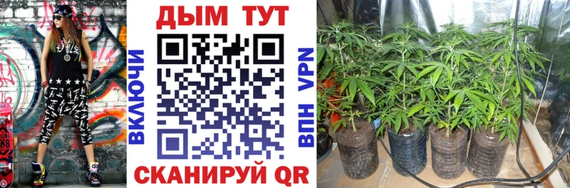 Каннабис план  блэк спрут ссылки  Отрадный 